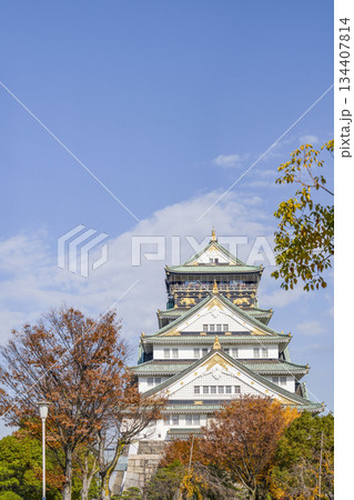大阪城天守閣 134407814