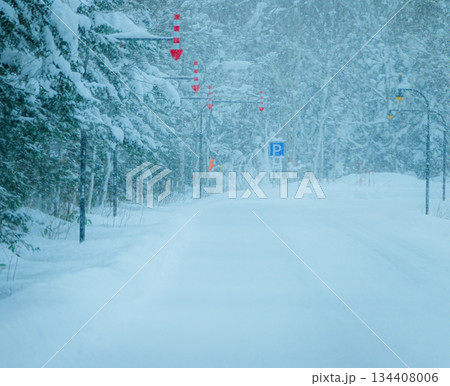 北海道美瑛町白金温泉に行く途中の冬の圧雪した白樺街道 北海道美瑛町白金温泉に行く途中の冬の圧雪した白樺街道 134408006