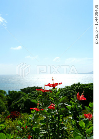 沖縄　輝く海とハイビスカスの花たち 134408438