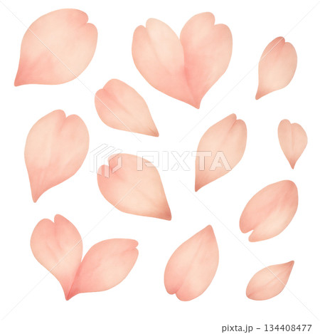 丸く集まった桜の花が華やかな春の装飾素材、 桜の花を円形にまとめた優しい春デザイン、 中央に配置でき 丸く集まった桜の花が華やかな春の装飾素材、 桜の花を円形にまとめた優しい春デザイン、 中央に配置でき 134408477