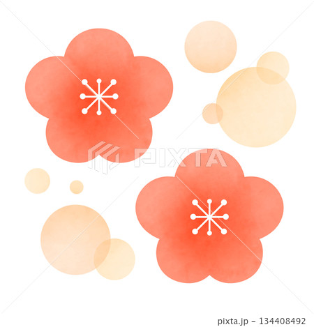 シンプルな梅の花のイラスト 134408492