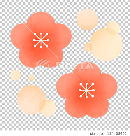 シンプルな梅の花のイラスト 134408492