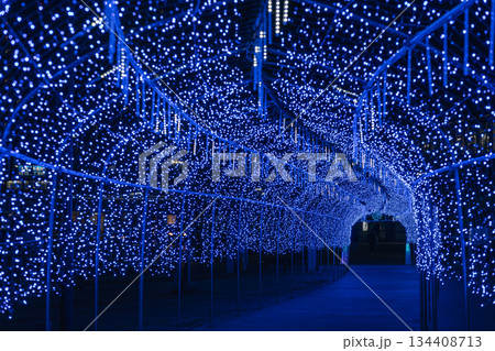 青いイルミネーション 宮城県 多賀城市 青いイルミネーション 宮城県 多賀城市 134408713