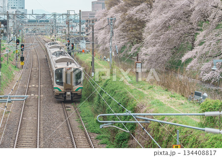 Railway train station and Kajo Park Yamagata Castle Ruins with Sakura Cherry Blossom in Spring season. Yamagata prefecture, Tohoku, Japan, 20 April 2025 134408817