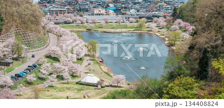 Tendo Park or Maizuru Park with Sakura Cherry Blossom in Spring season. Yamagata prefecture, Tohoku, Japan, 21 April 2025 Tendo Park or Maizuru Park with Sakura Cherry Blossom in Spring season. Yamagata prefecture, Tohoku, Japan, 21 April 2025 134408824