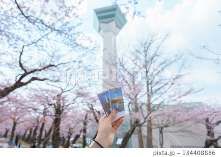 Tourist hand holding Goryokaku Tower ticket during sightseeing view and hanami with sakura cherry blossom in spring season. Hakodate city, Hokkaido prefecture, Japan, 26 April 2025 134408886