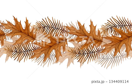 Seamless watercolor border of overlapping autumn oak leaves and dried metasequoia branches on a white background. Hand-painted botanical style. Good for stationery, packaging, web headers and designs 134409114