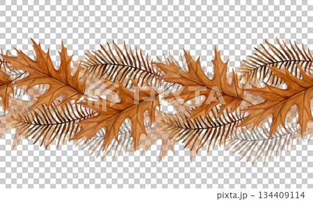 Seamless watercolor border of overlapping autumn oak leaves and dried metasequoia branches on a white background. Hand-painted botanical style. Good for stationery, packaging, web headers and designs 134409114