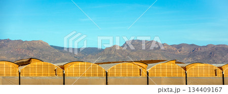 A view of rows of greenhouses against a mountain range in southern Spain. Horizontal banner 134409167