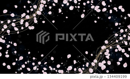 漆黒の背景に舞う桜吹雪 134409199
