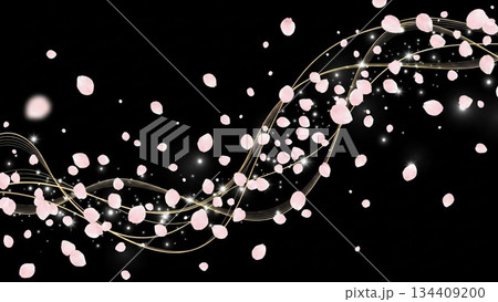 漆黒の背景に舞う桜吹雪 134409200