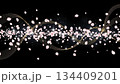 漆黒の背景に舞う桜吹雪 134409201
