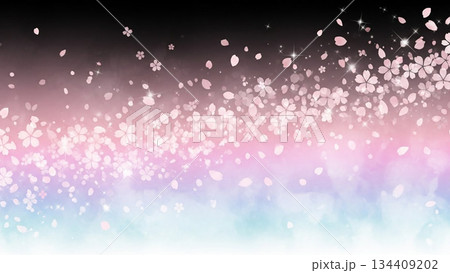 漆黒の背景に舞う桜吹雪 134409202