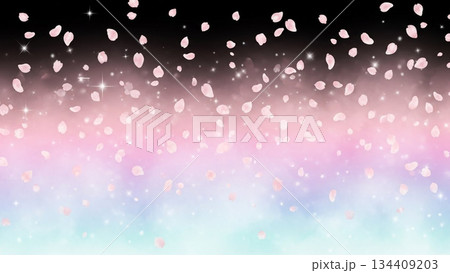 漆黒の背景に舞う桜吹雪 134409203