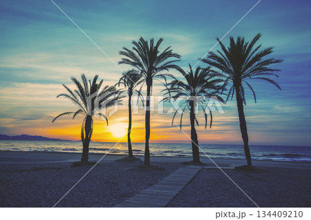 Seascape in the early morning during a beautiful sunrise. Palm trees on the beach. San Juan beach, Alicante, Spain Seascape in the early morning during a beautiful sunrise. Palm trees on the beach. San Juan beach, Alicante, Spain 134409210