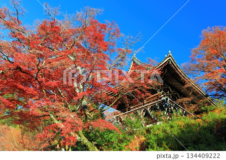 【京都府】快晴の西山善峯寺の山門（楼門）と紅葉 134409222