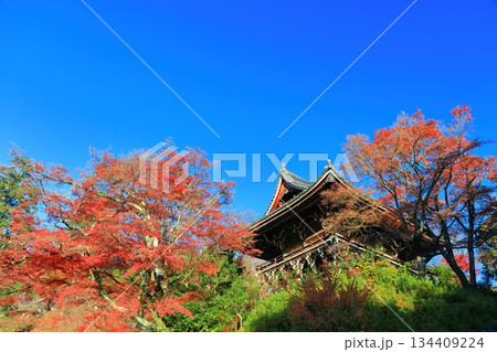 【京都府】快晴の西山善峯寺の山門（楼門）と紅葉 134409224
