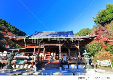 【京都府】快晴の西山善峯寺の観音堂（本堂）と紅葉 134409230
