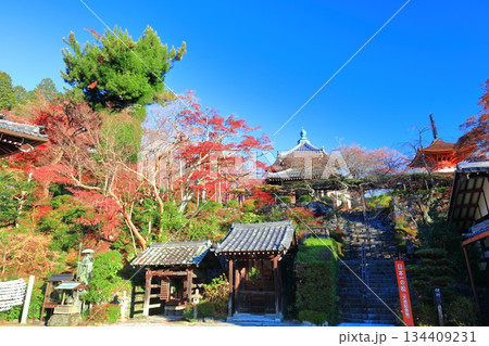 【京都府】快晴の西山善峯寺の経堂と紅葉 134409231