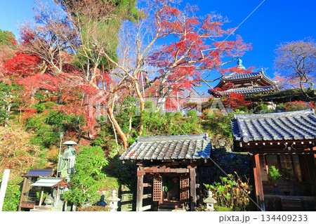 【京都府】快晴の西山善峯寺の経堂と紅葉 【京都府】快晴の西山善峯寺の経堂と紅葉 134409233