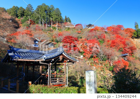 【京都府】快晴の西山善峯寺と紅葉（白山権現） 134409244