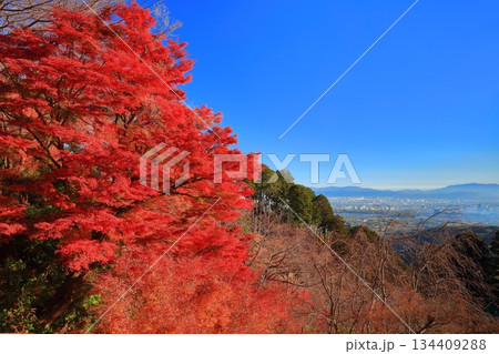 【京都府】快晴の西山善峯寺の紅葉と京都市街地 134409288