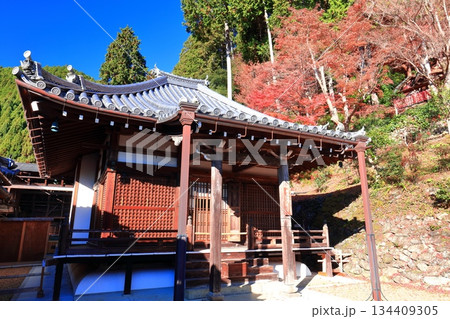 【京都府】快晴の西山善峯寺の阿弥陀堂と紅葉 【京都府】快晴の西山善峯寺の阿弥陀堂と紅葉 134409305