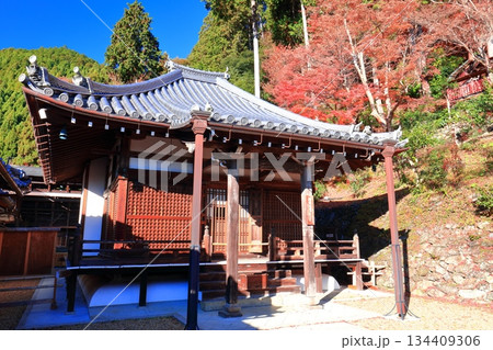 【京都府】快晴の西山善峯寺の阿弥陀堂と紅葉 134409306