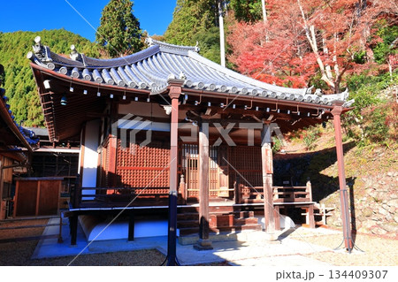 【京都府】快晴の西山善峯寺の阿弥陀堂と紅葉 134409307
