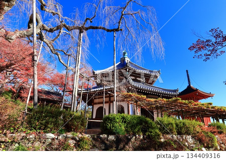 【京都府】快晴の西山善峯寺の経堂と紅葉 134409316