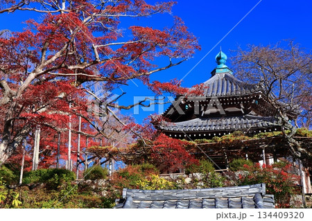 【京都府】快晴の西山善峯寺の経堂と紅葉 134409320