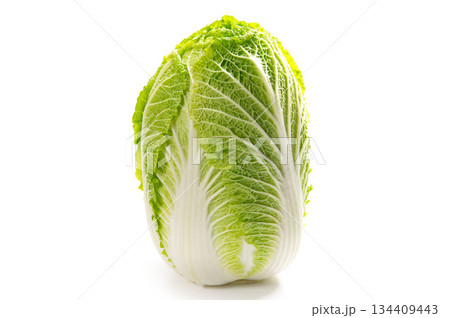 日本の冬野菜の白菜 134409443