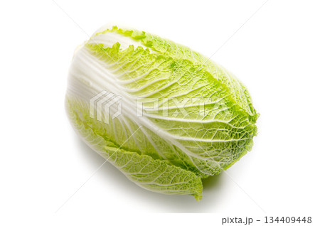 日本の冬野菜の白菜 日本の冬野菜の白菜 134409448