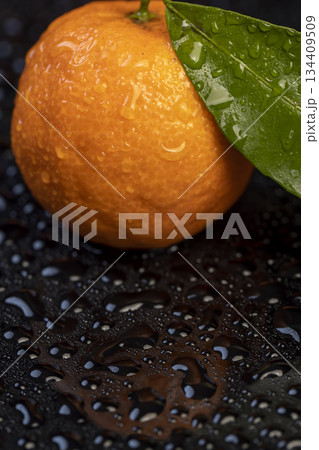 wet small tangerines with green leaves are reflected on a black mirror ,one ripe sweet tangerines with green leaves covered with drops of clear water with reflection on a black glass 134409509