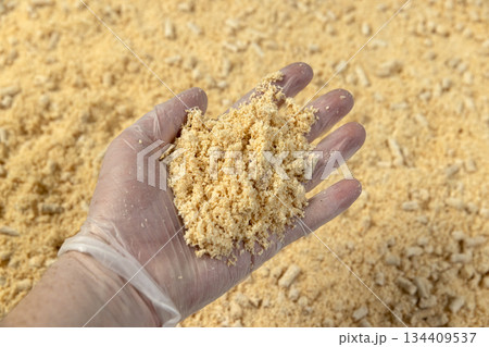 wood pellets from pine sawdust after getting on them with a large amount of water, the wood pallets got wet and crumbled into sawdust, some of them did not get wet wood pellets from pine sawdust after getting on them with a large amount of water, the wood pallets got wet and crumbled into sawdust, some of them did not get wet 134409537