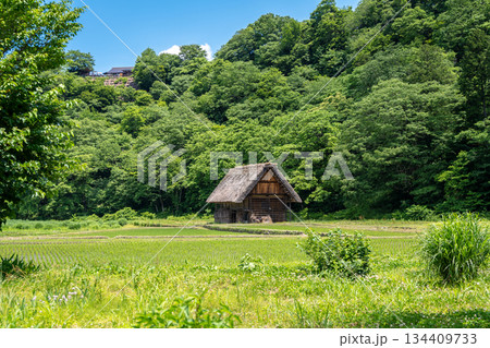 Traditional houses and rice fields in Shirakawa-go, rural Japan Traditional houses and rice fields in Shirakawa-go, rural Japan 134409733