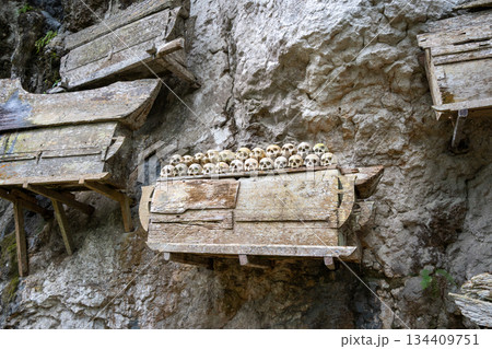 Toraja tombs and skulls in cave sanctuary, Sulawesi, Indonesia 134409751