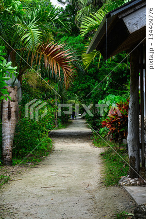 南国の風景　由布島 134409776