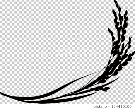 稻穗的簡單單色輪廓 134410100