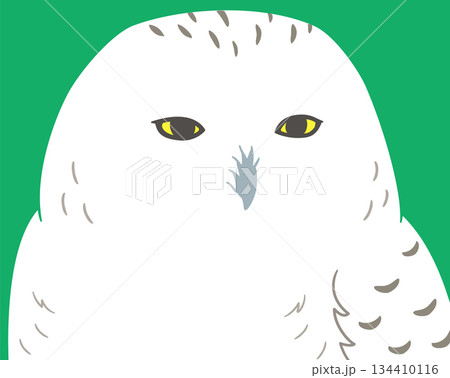 眠そうな目のシロフクロウのイラスト素材 眠そうな目のシロフクロウのイラスト素材 134410116