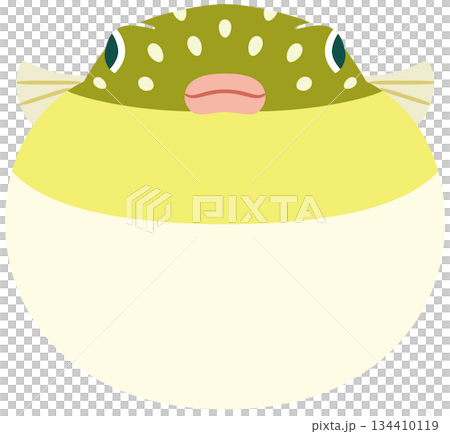 膨らんだ魚のフグの正面顔のイラスト素材 134410119