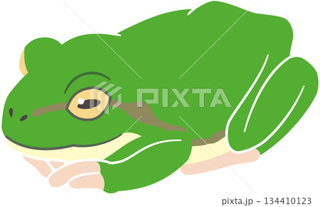 小さくなって休むカエルのイラスト素材 134410123