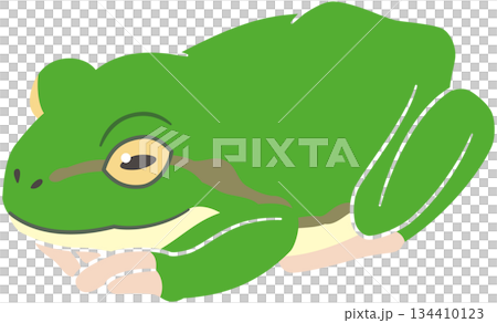 小さくなって休むカエルのイラスト素材 134410123