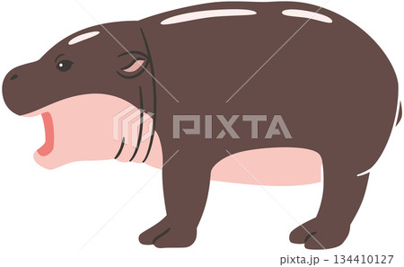 口を開けるコビトカバのイラスト素材 口を開けるコビトカバのイラスト素材 134410127