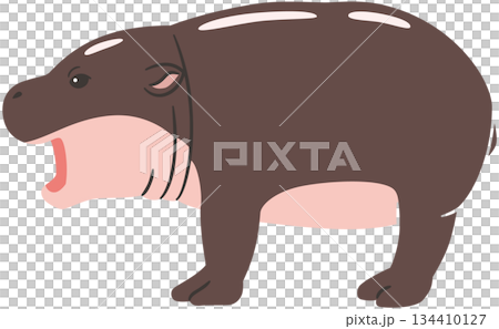 口を開けるコビトカバのイラスト素材 口を開けるコビトカバのイラスト素材 134410127