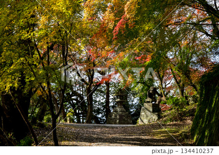 秋の頃の紅葉が美し菊池神社の風景 秋の頃の紅葉が美し菊池神社の風景 134410237