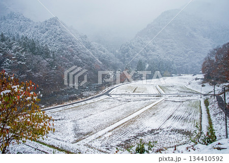 雪が積もった田んぼと馬瀬川《岐阜県 下呂市 馬瀬》 134410592