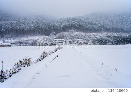 雪国 白銀の世界 《岐阜県 下呂市 馬瀬エリア》 雪国 白銀の世界 《岐阜県 下呂市 馬瀬エリア》 134410606
