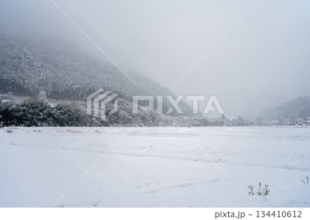 雪国 白銀の世界 《岐阜県 下呂市 馬瀬エリア》 雪国 白銀の世界 《岐阜県 下呂市 馬瀬エリア》 134410612