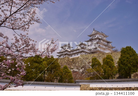 満開の桜につつまれる姫路城 満開の桜につつまれる姫路城 134411100